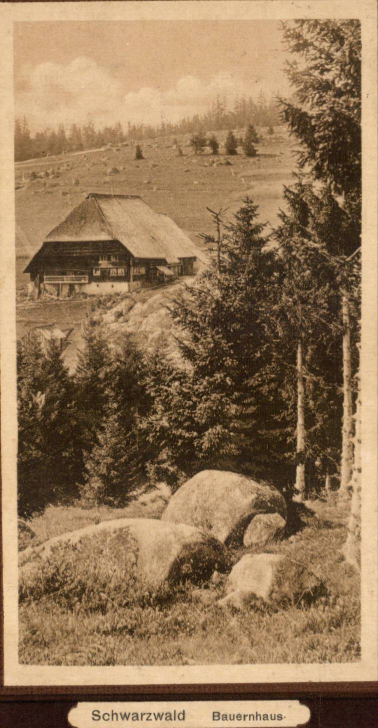 CPA Suisse Schwarzwald Bauernhaus