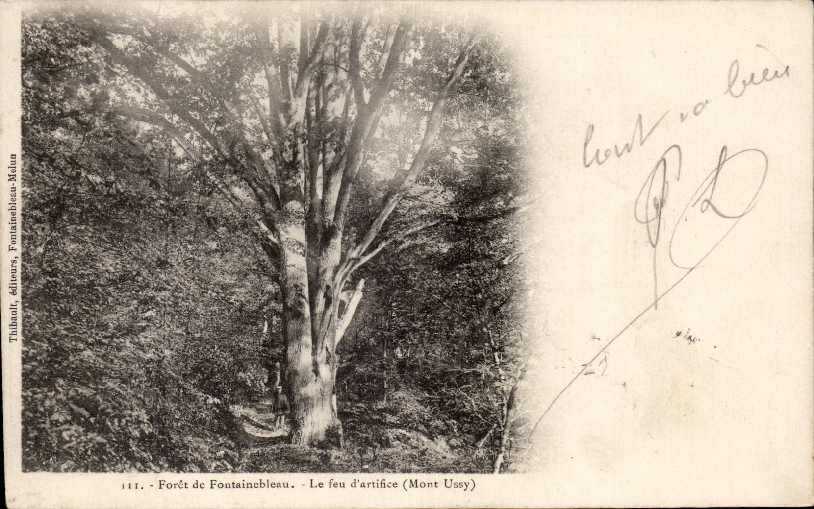 CPA Fontainebleau fire artifice (Worn Mount)