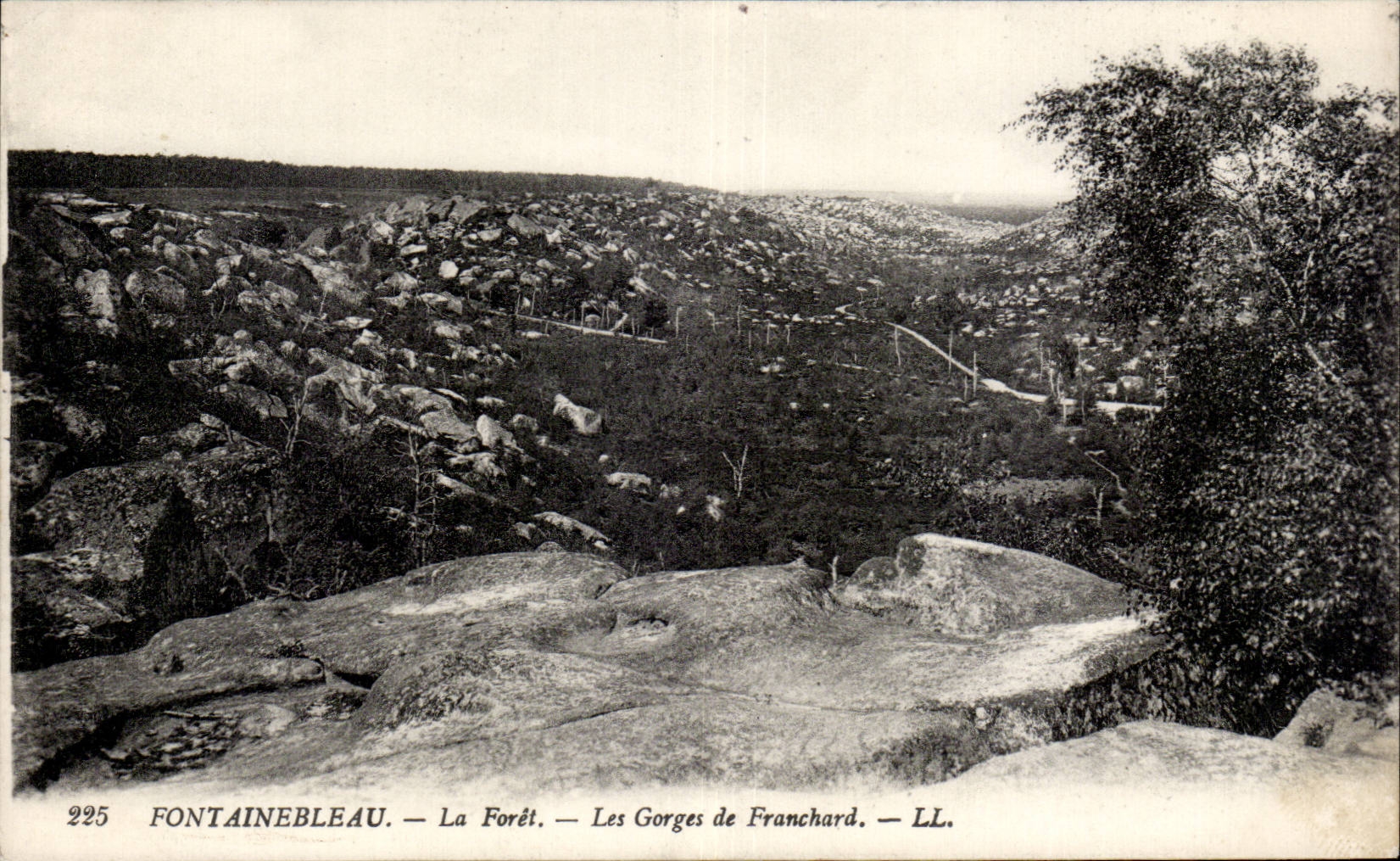 CPA Fontainebleau the forest throats of Franchard