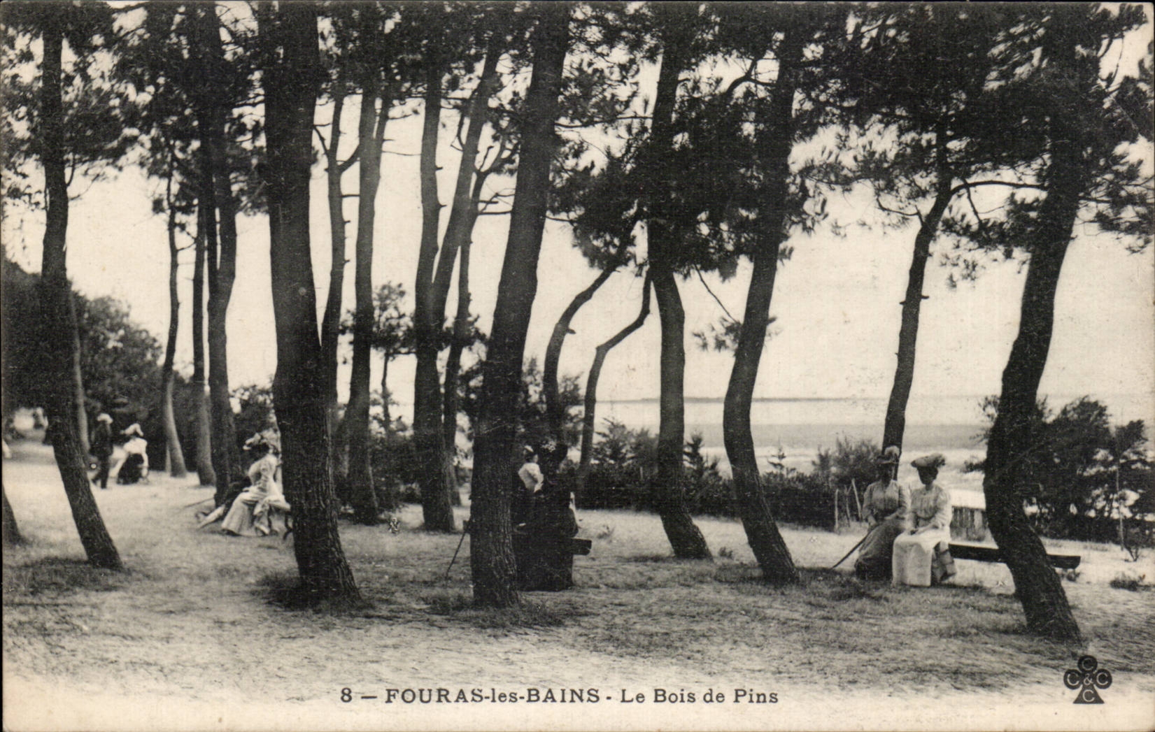 CPA Fouras the wood of pines