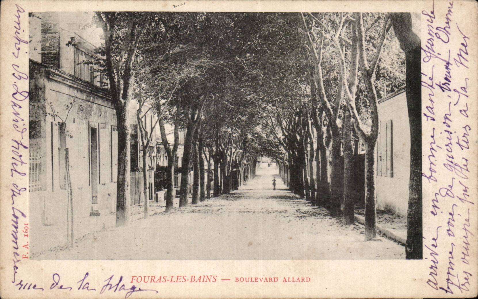 CPA Fouras les Bains Allard Boulevard