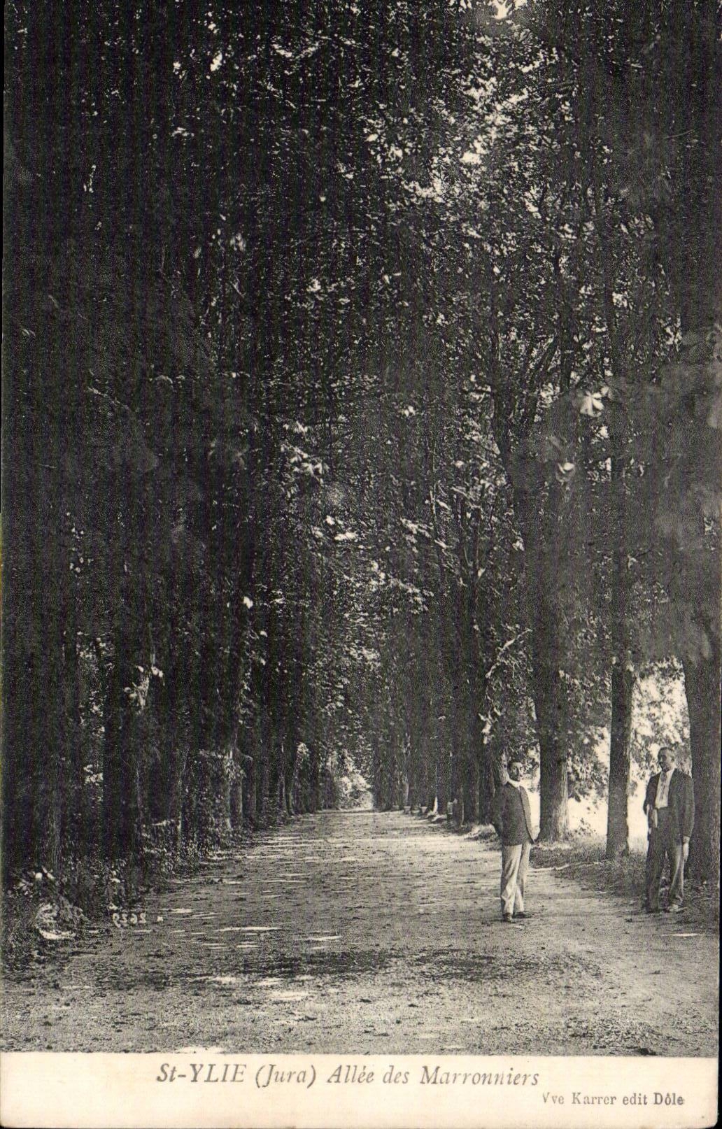 CPA St Ylie Allee of the chestnut trees