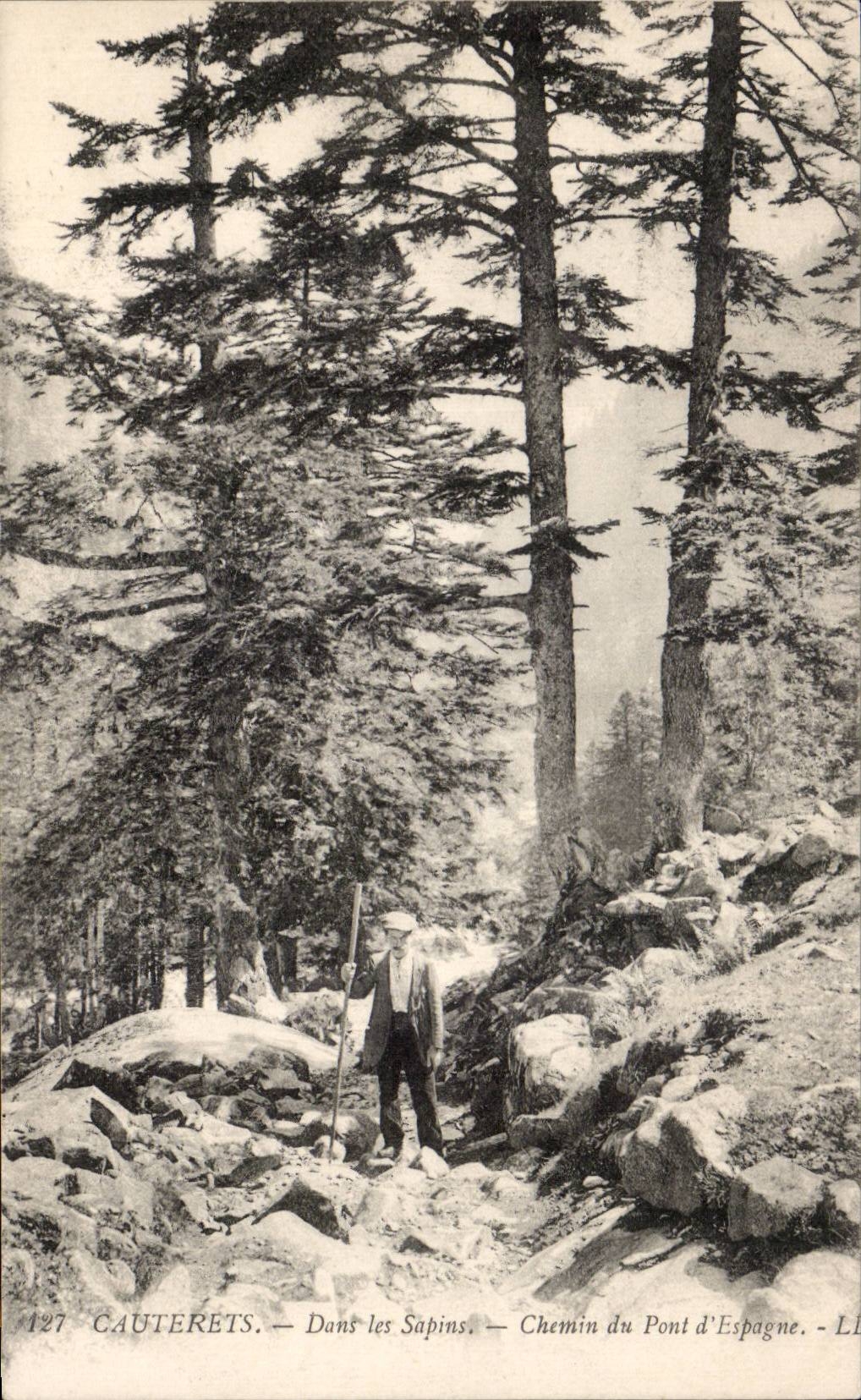 CPA Cauterets In the fir trees Way of the bridge Spain