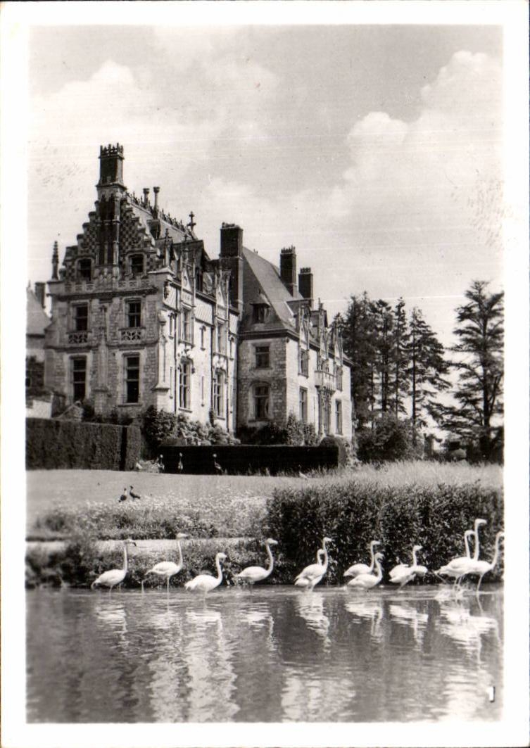 CPSM By zoological Cleres zoo