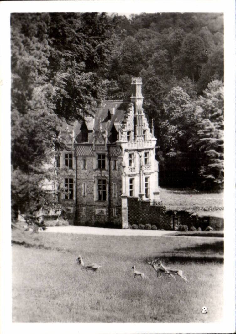 CPSM By zoological Cleres zoo