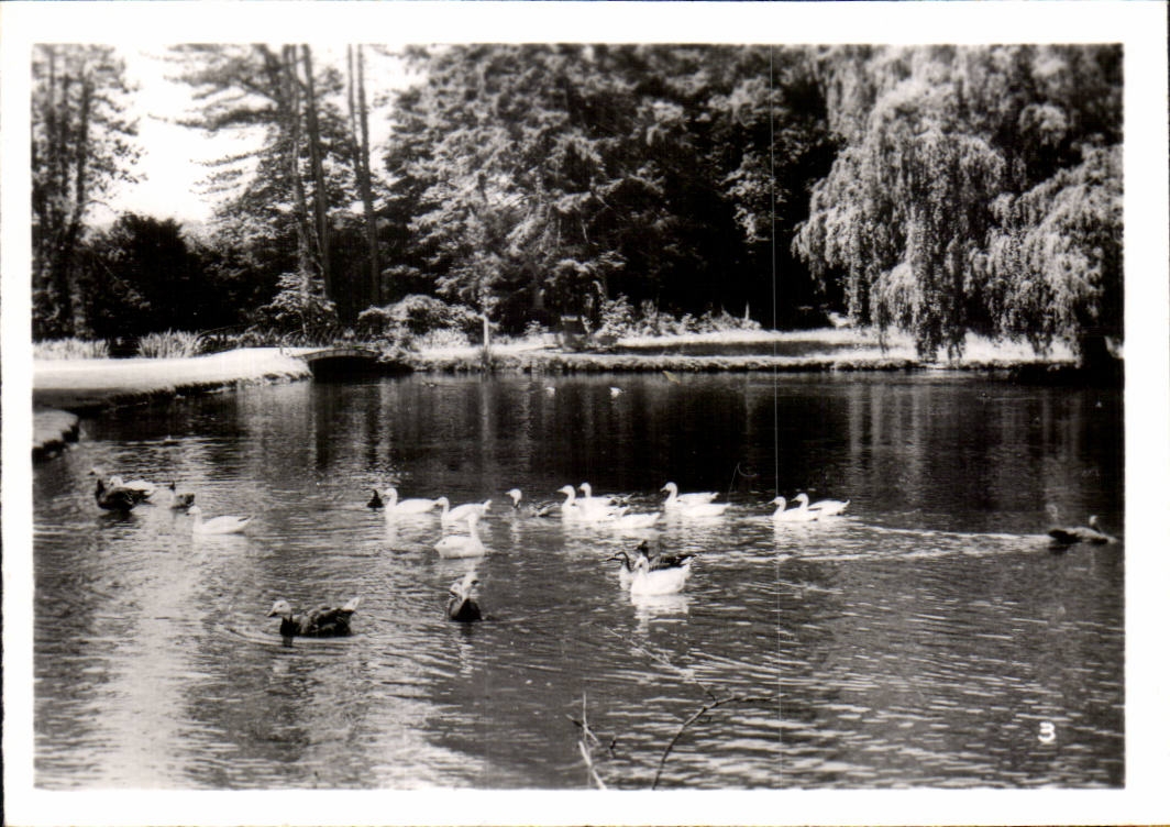 CPSM By zoological Cleres zoo