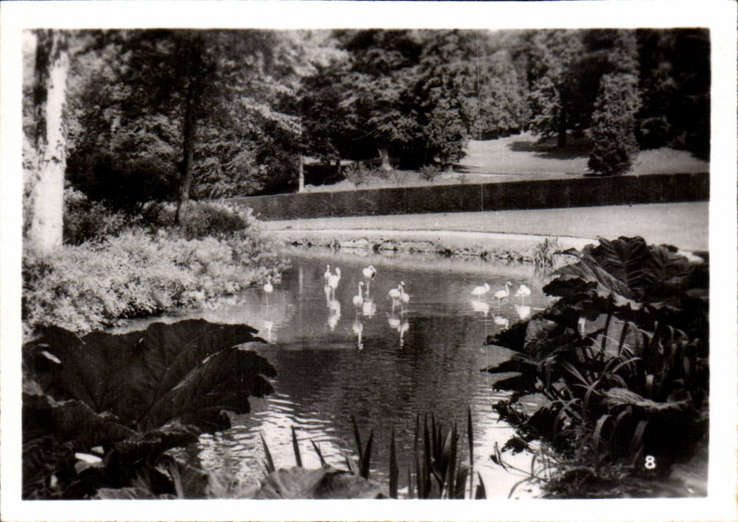 CPSM By zoological Cleres zoo