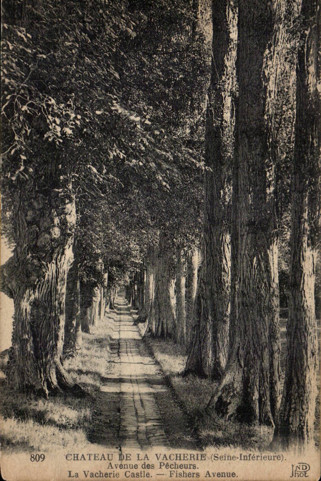 Castle of the Nasty trick - Avenue of the Sinners - CPA