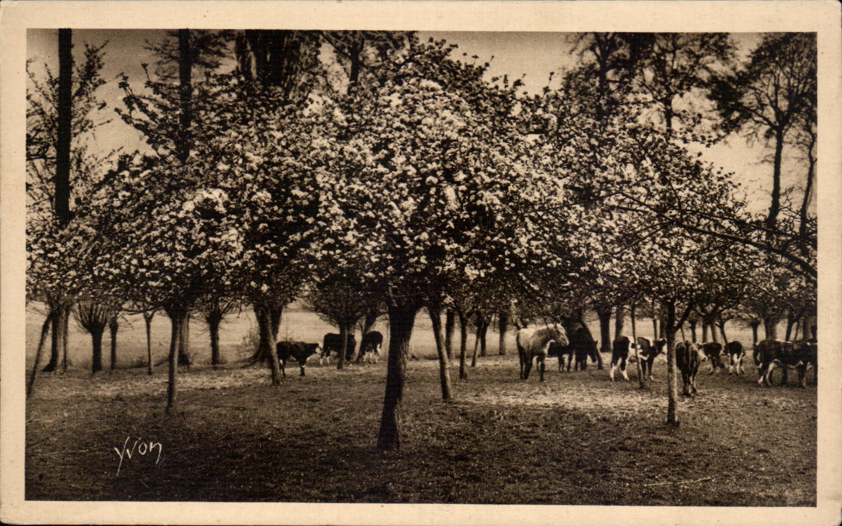 Rouen - the Field St Marc on the road of Rouen - Soft France - Yvon - CPA