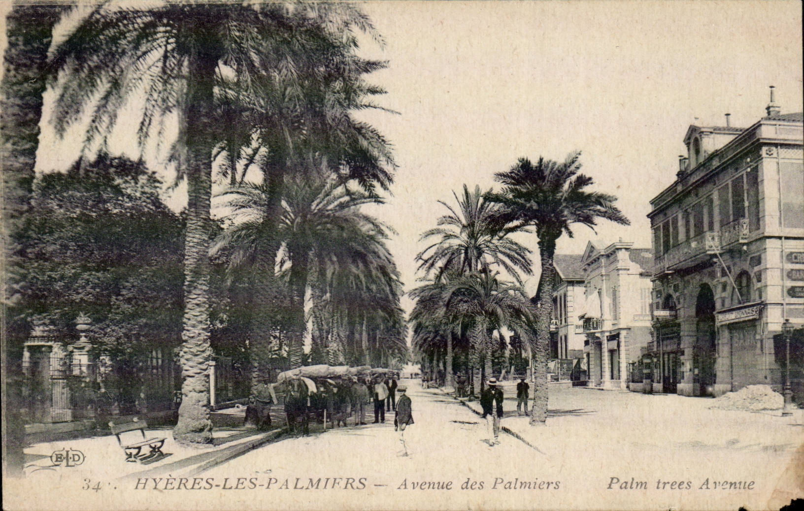 CPA Hyeres la avenida de las palmeras de las palmeras