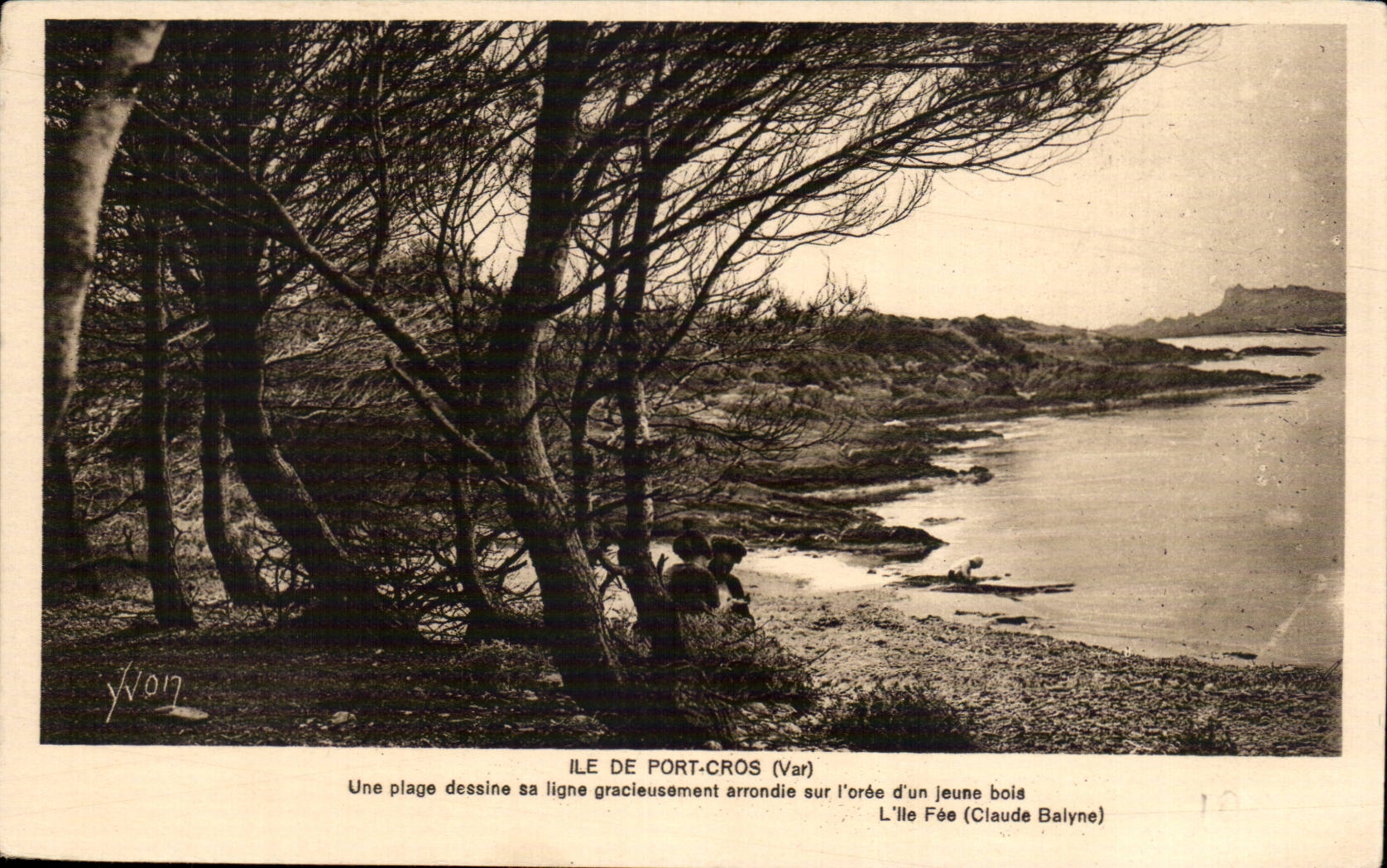 CPA Ile de Port Cros Une plage dessine sa ligne 