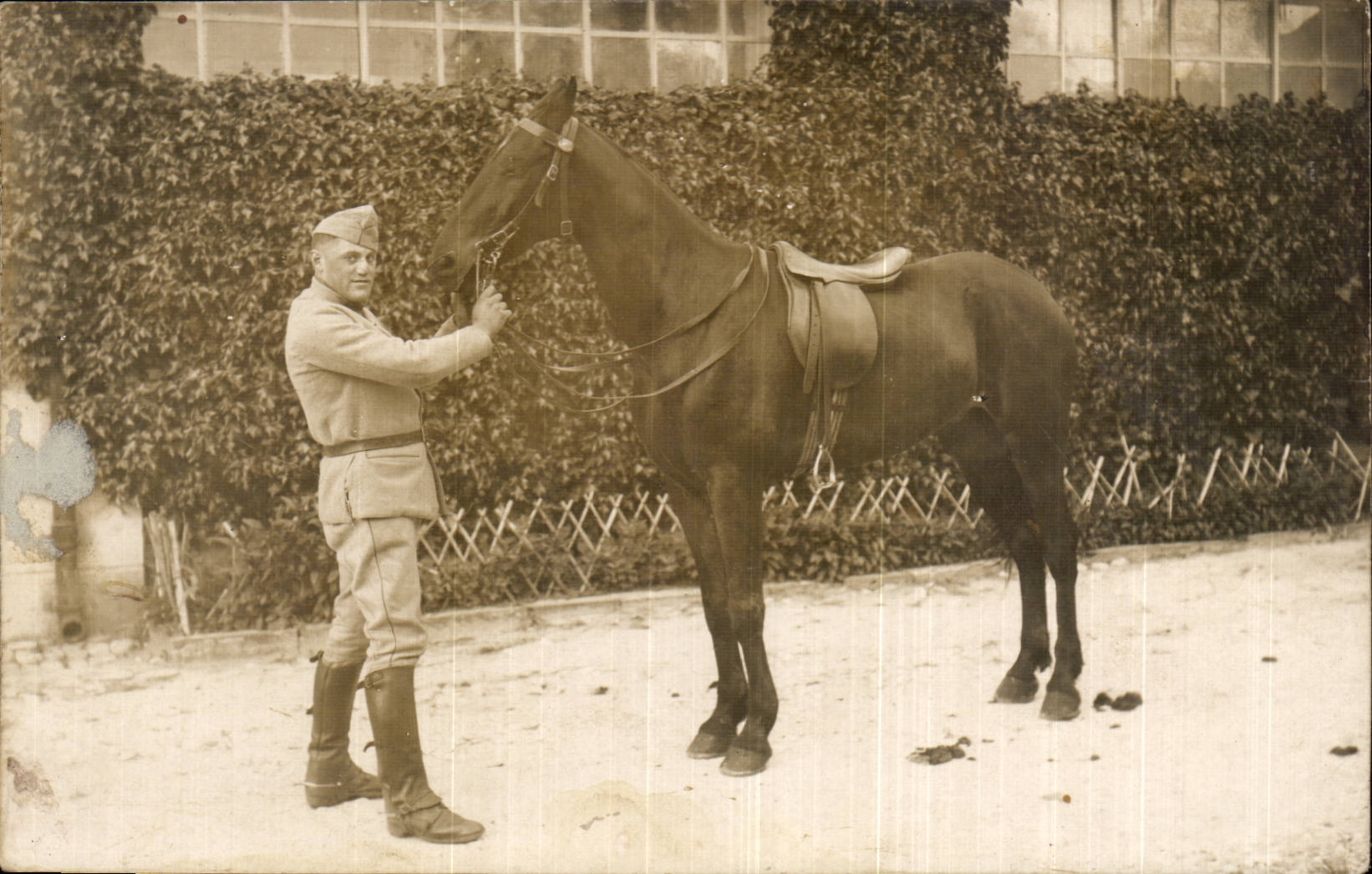 Real photo Soldiers militaria Horse