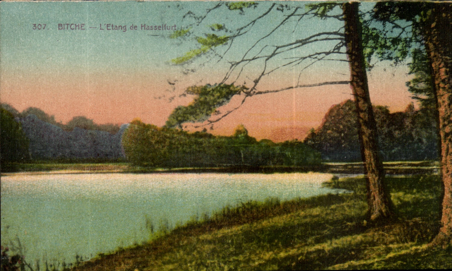 Camp of Bitche - Pond of Hasselfurt - CPA
