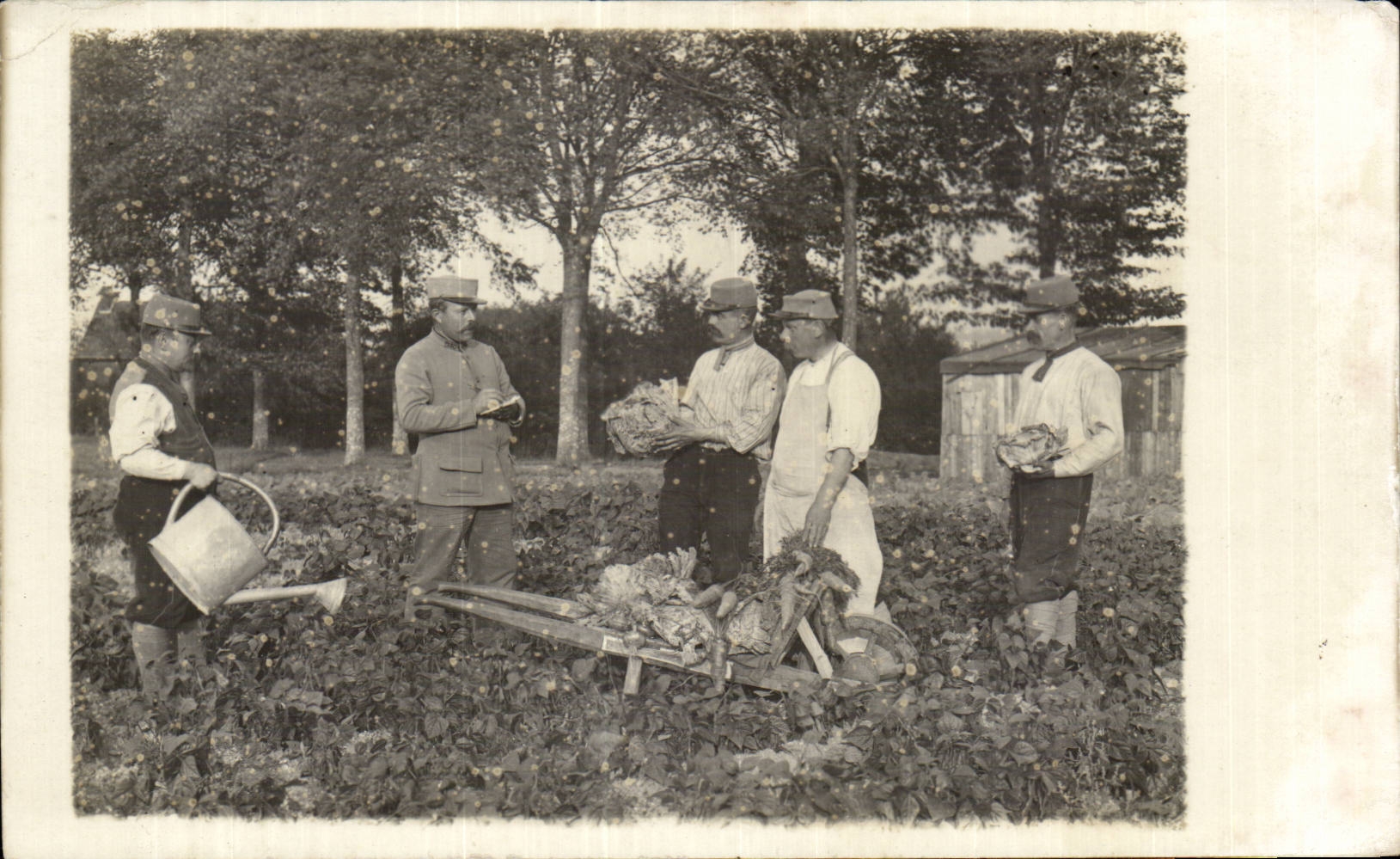 Real photo Militaria Soldiers