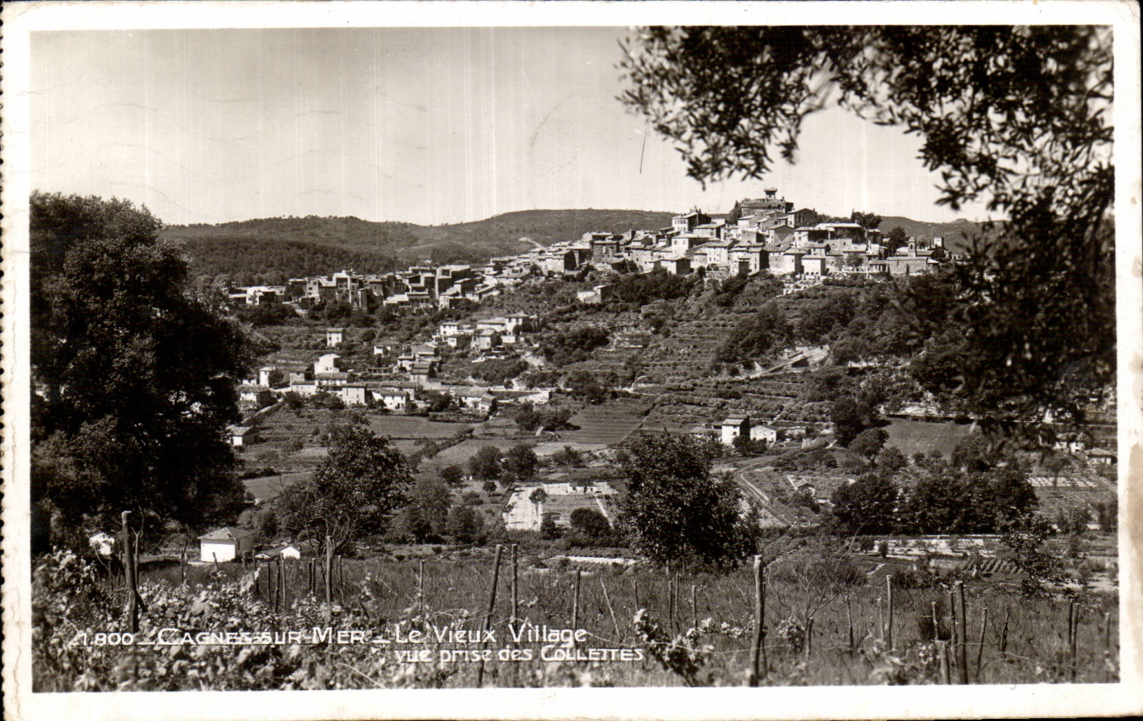 Cagnes en el mar - la aldea vieja - visto de Collettes - CPA