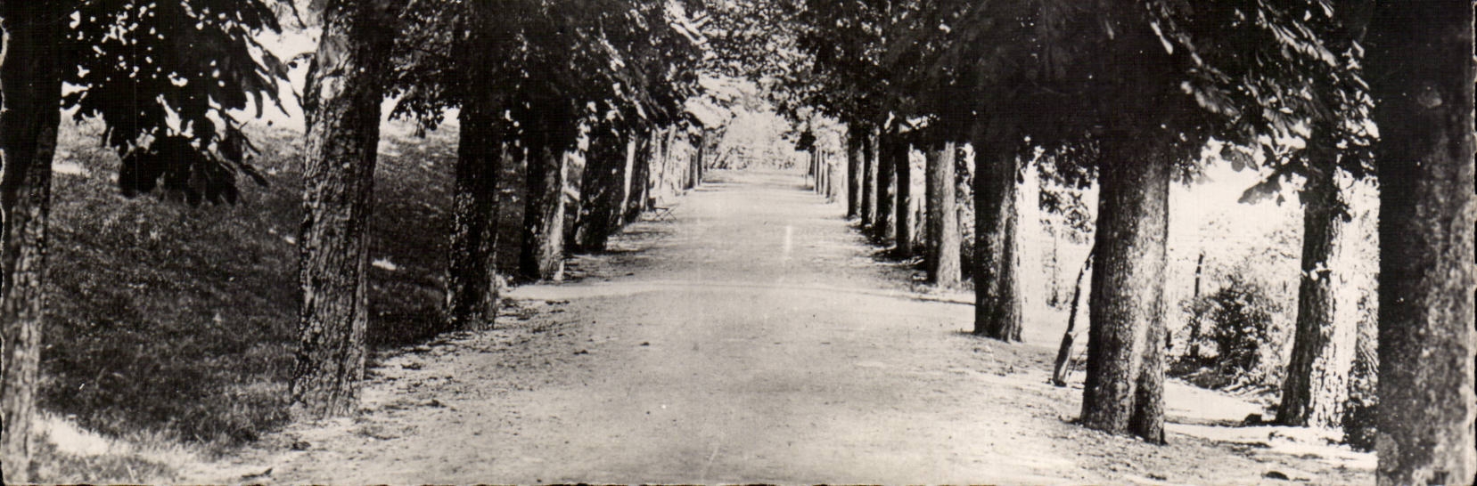 Louvesc - House St Governed - Allee of the Chestnut trees - CPA