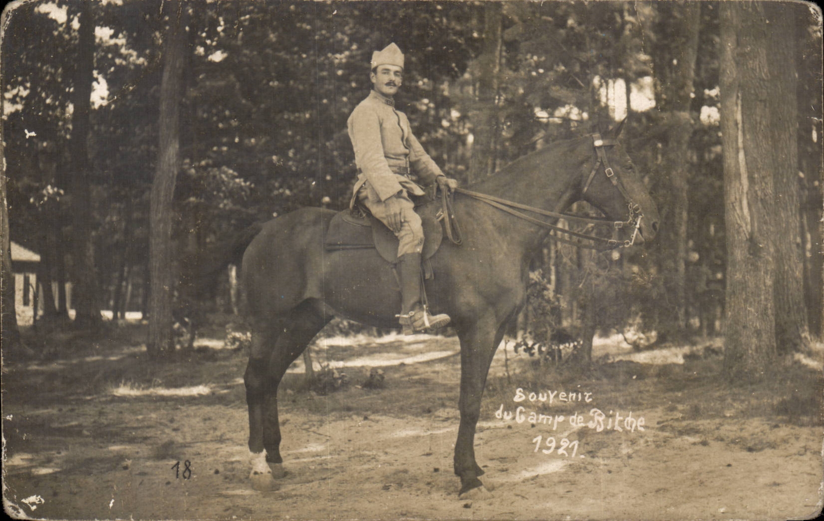Real photo Militaria Riding Soldier Camp of Bitche 1921 Horse