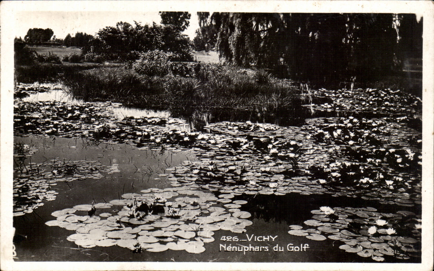 Vichy - Nenuphars du Golf - CPA