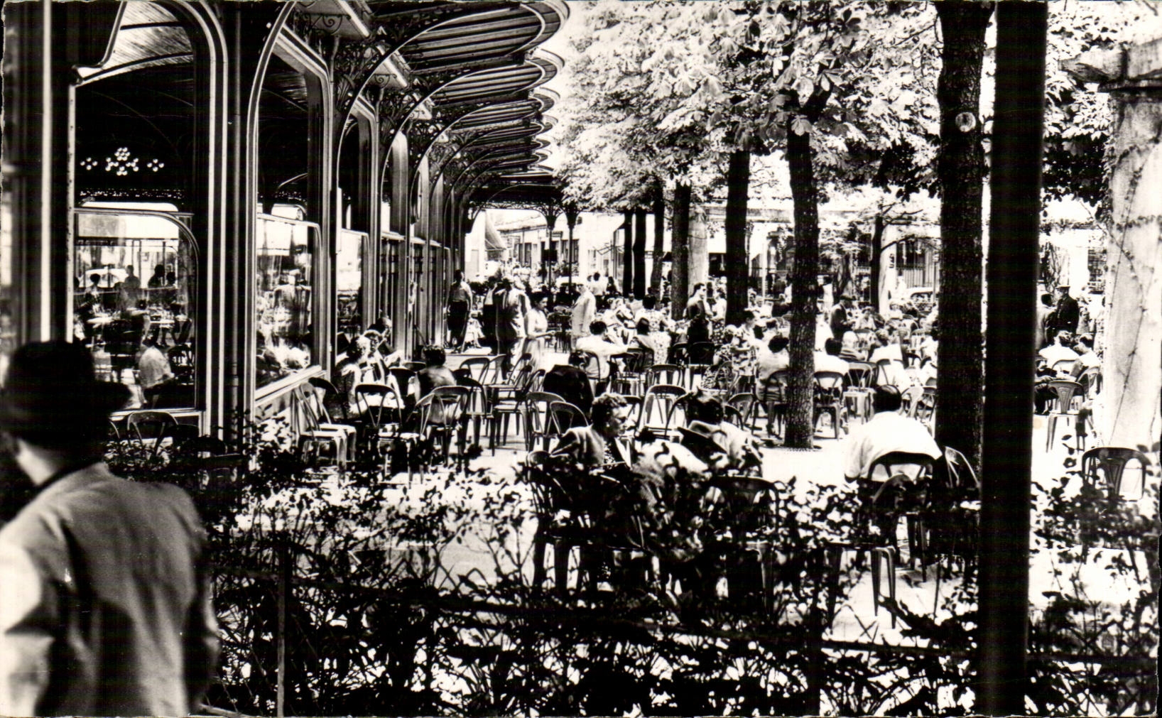 Vichy - Pergola des Sources - CPA