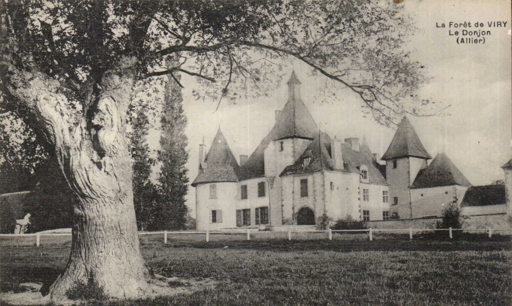 The forest of Viry - the Keep - CPA