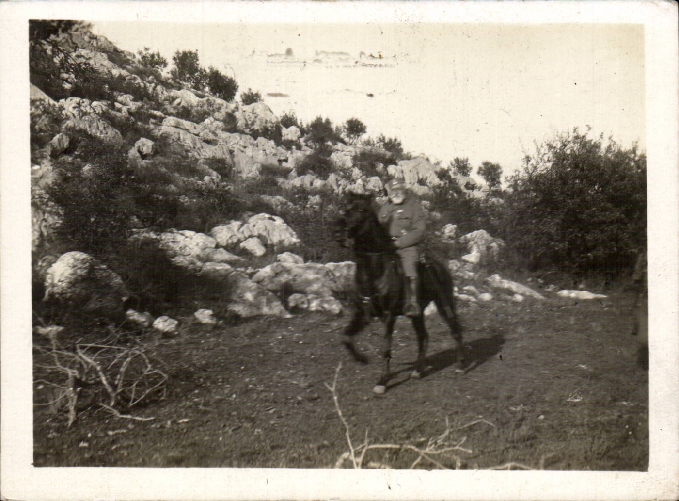 CARTE PHOTO Militaria Cavalier 