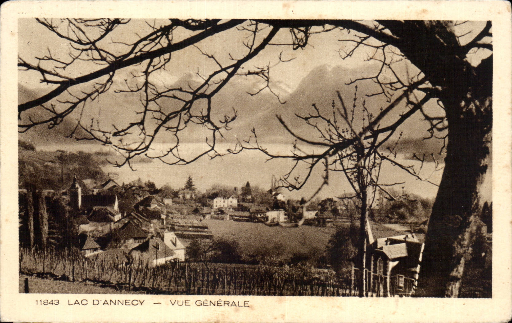 CPA Annecy Lac Vue generale
