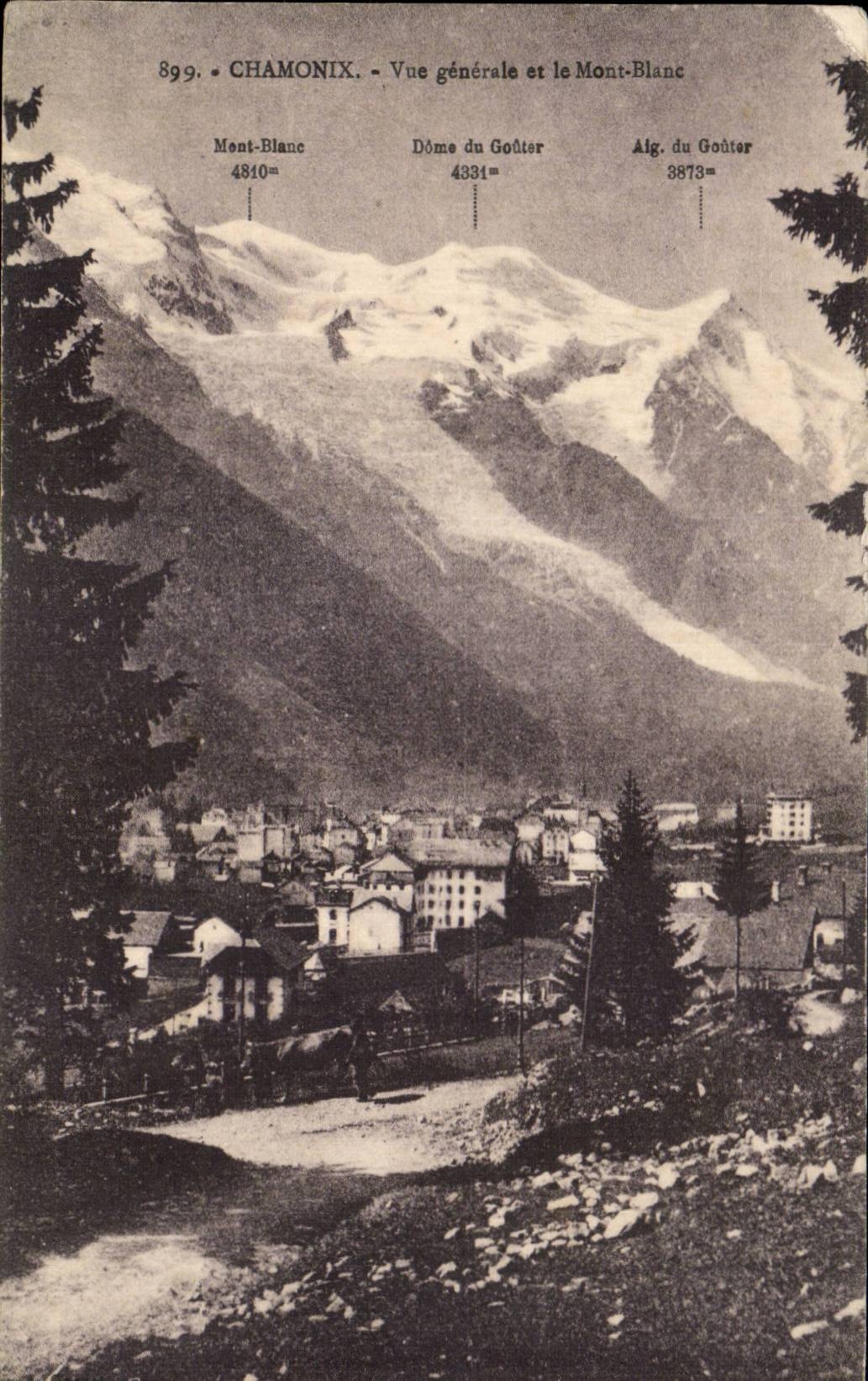 Chamonix - Vue Generale et le Mont Blanc - CPA 