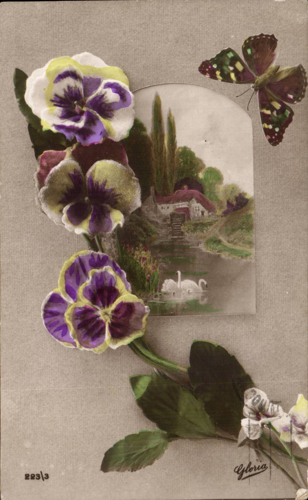 La fantasia de CPA florece el cisne del cisne de la mariposa