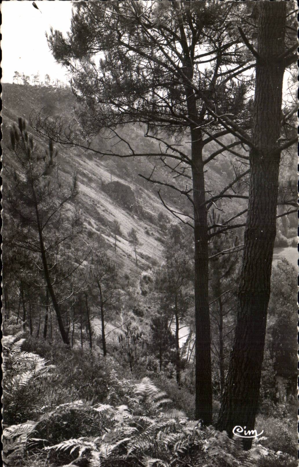 CPSM St Pouring Leonard of the Wood of High the Fork