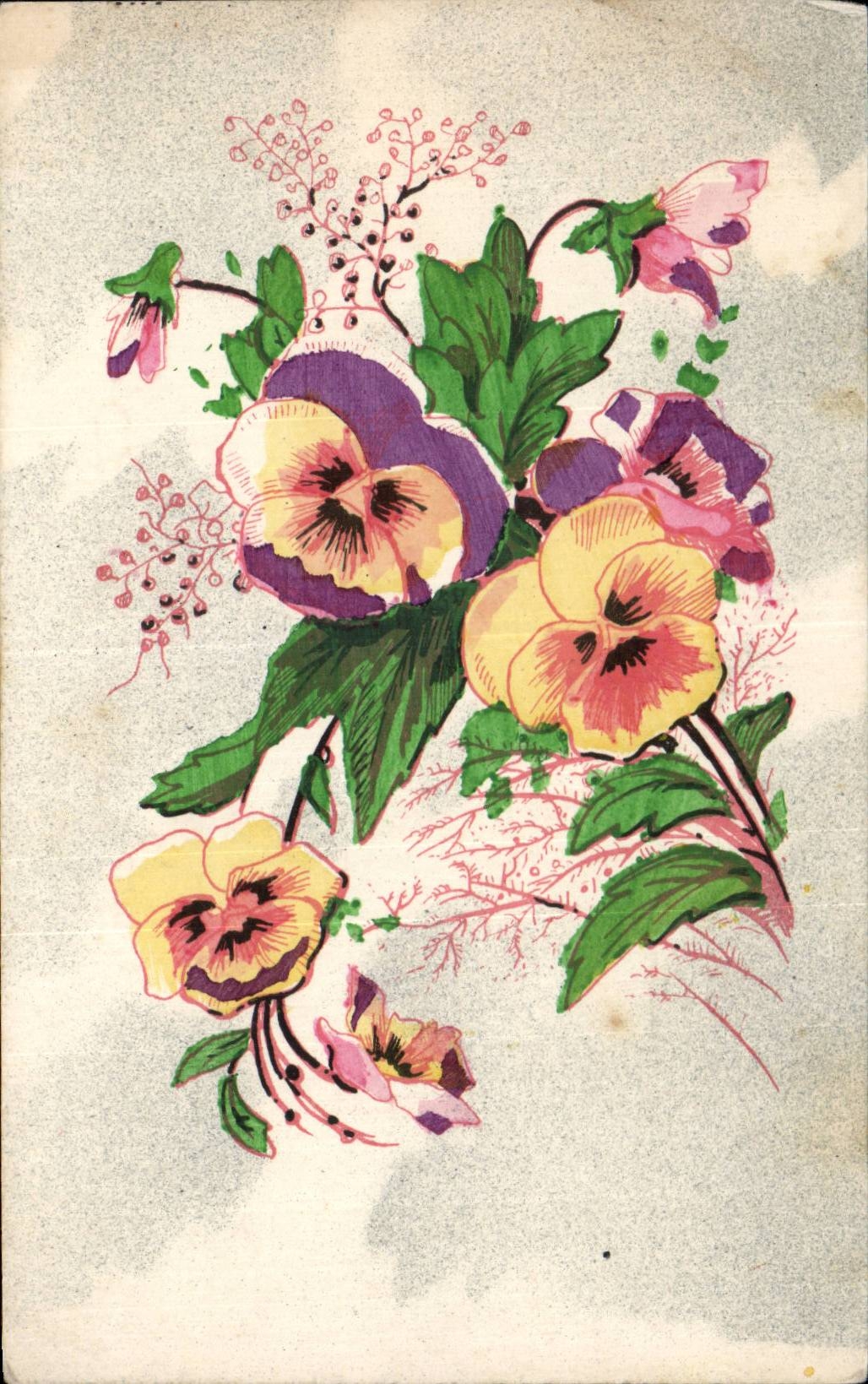 Fleurs Pensee - Pansy - CPA 