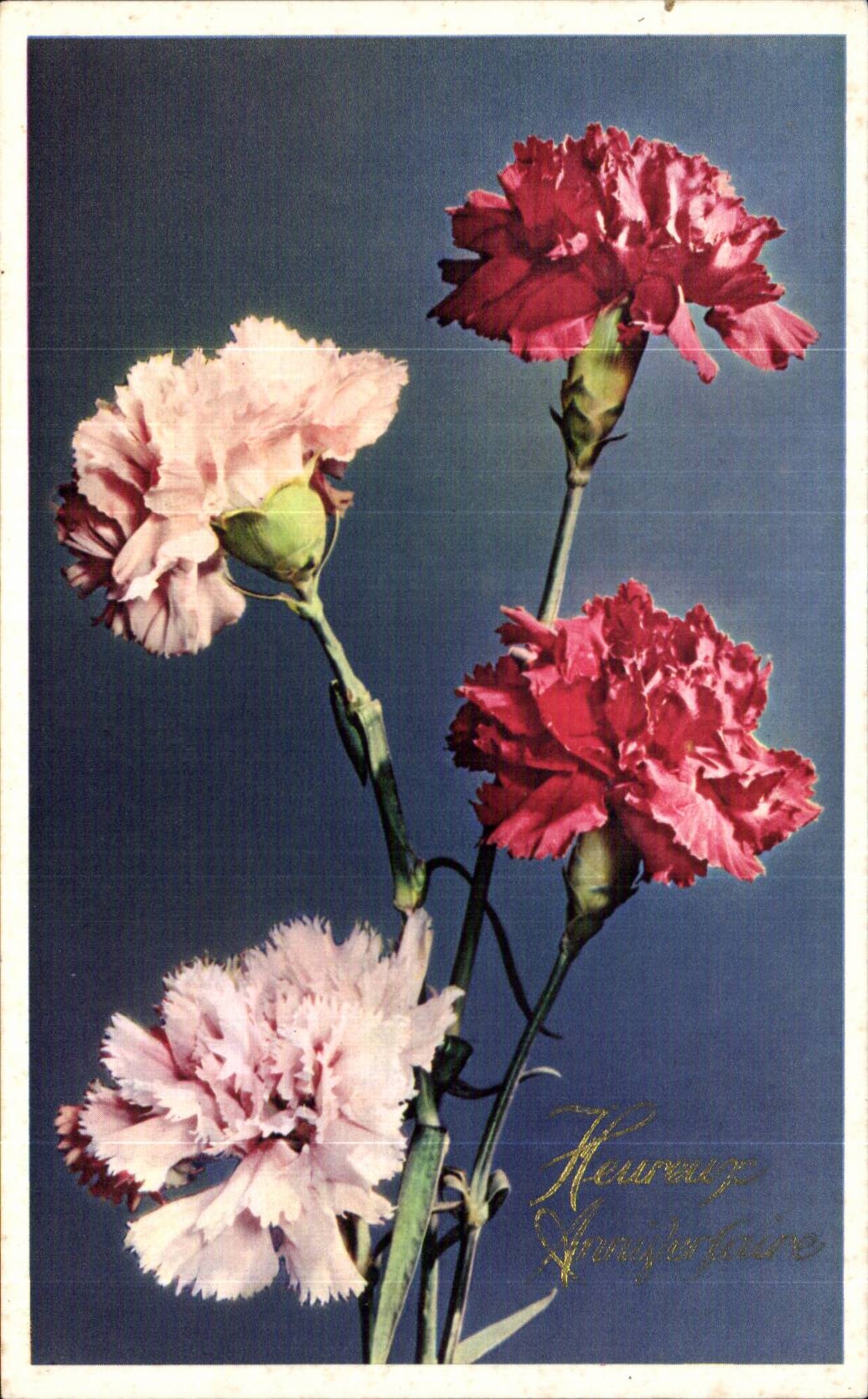 Fleurs Carnations - CPA 