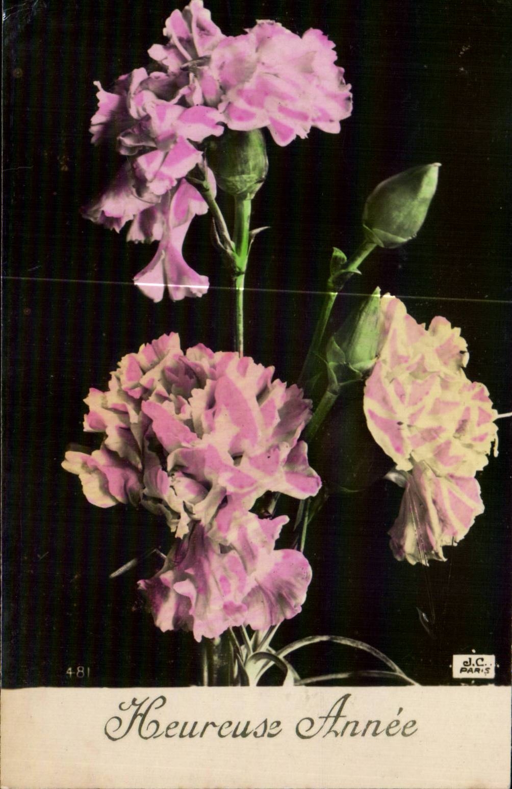 Fleurs Heureux Annee - CPA