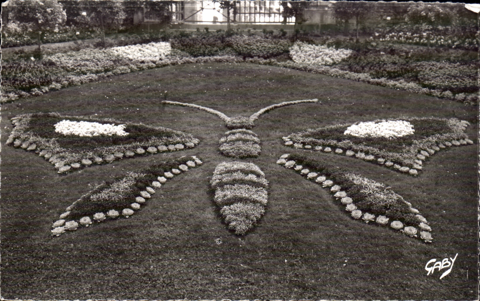 Avranches - jardin botAnico - la mariposa de la mariposa - CPA
