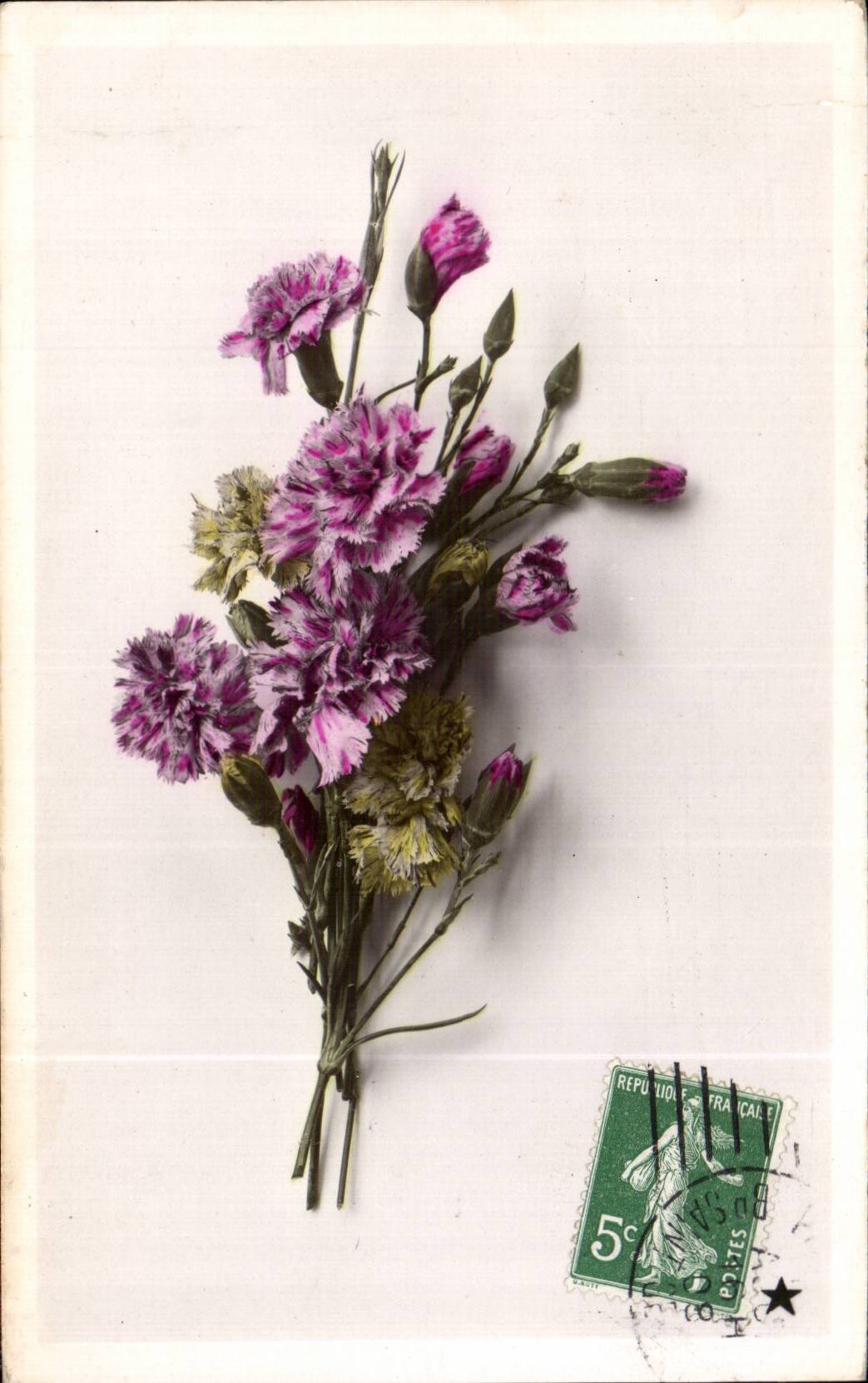 Fleurs Oeillet - Carnation - CPA 