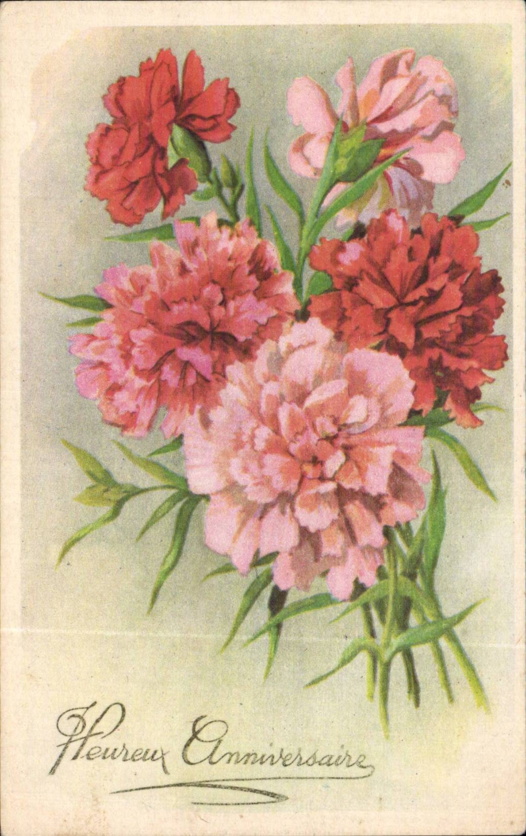 Fleurs Oeillet - Carnation - Heureux Anniversaire - CPA 