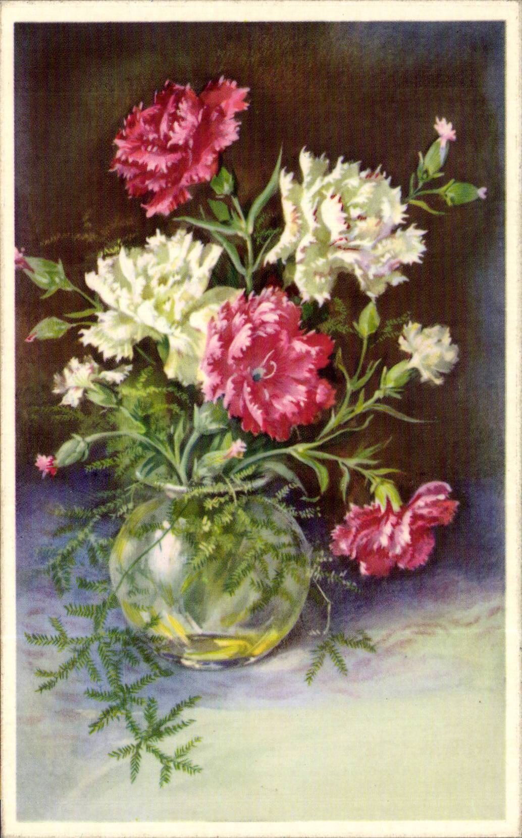 Fleurs Oeillet - Carnation - CPA 