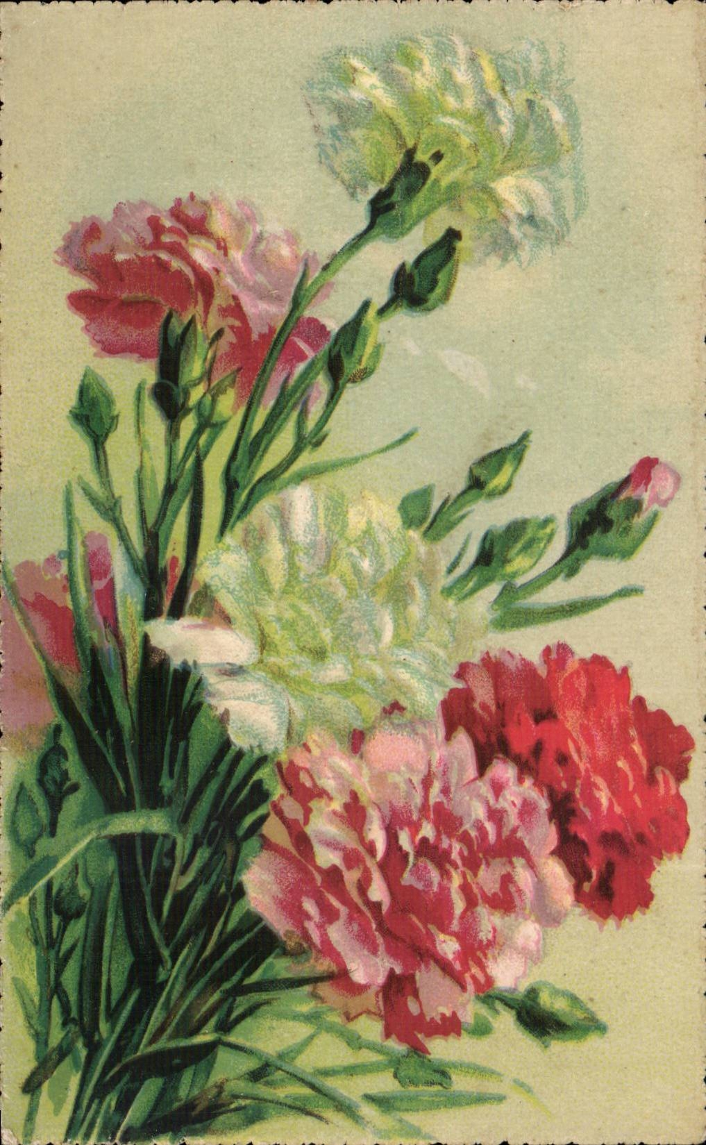 Fleurs Oeillet - Carnation - CPA 