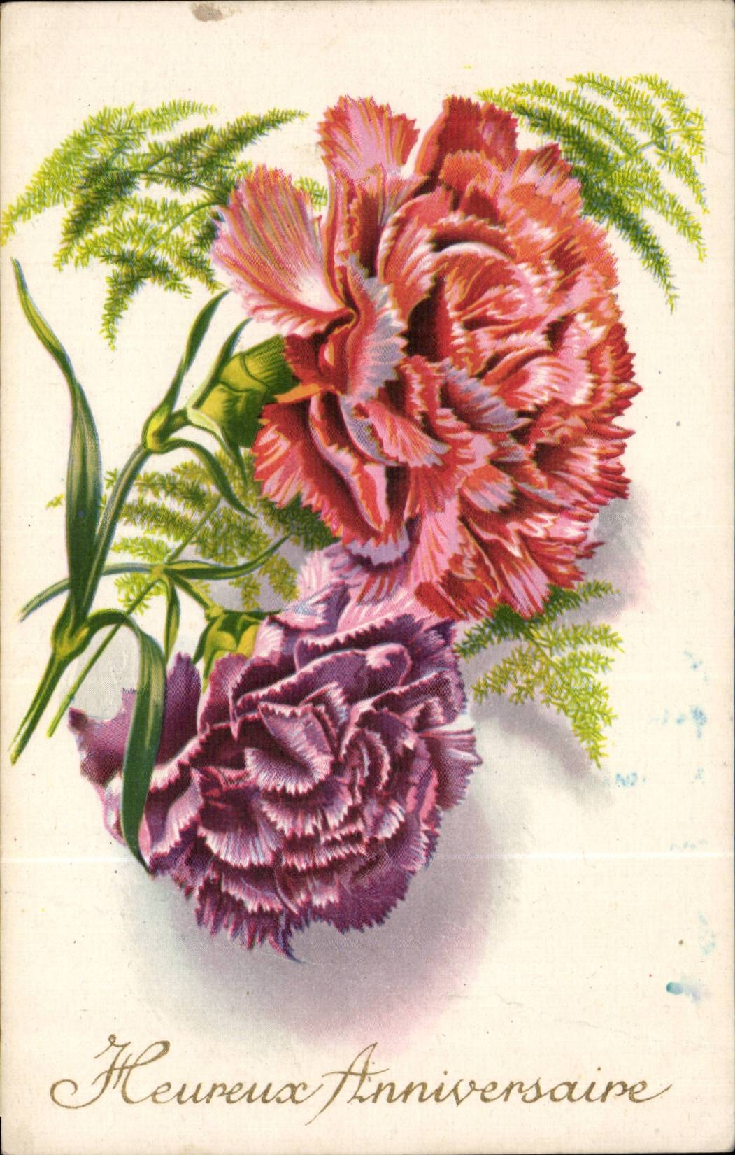 Fleurs Oeillet - Carnation - Heureux Anniversaire - CPA 