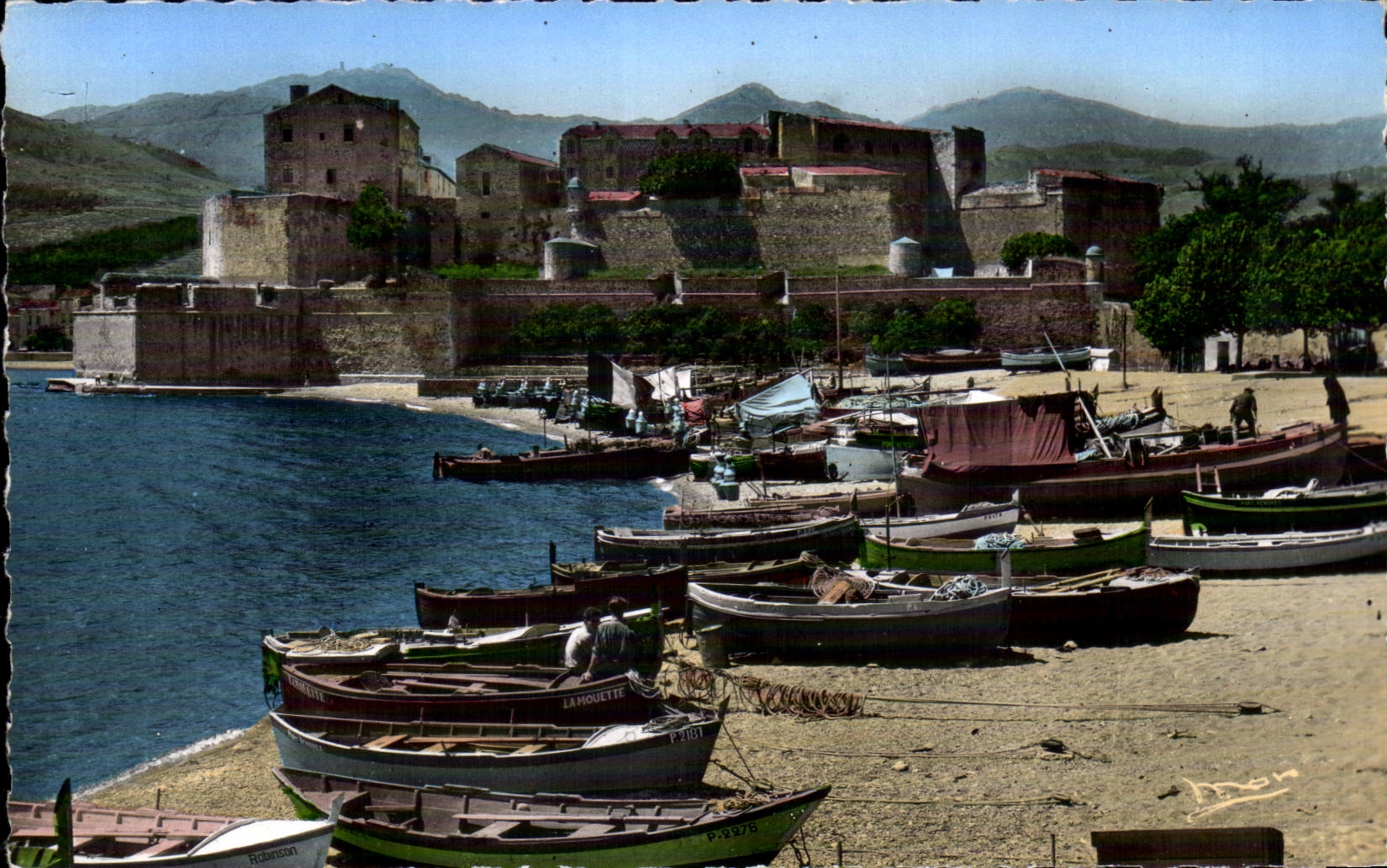 Collioure - Le Port et le Chateau des Templiers - CPA 