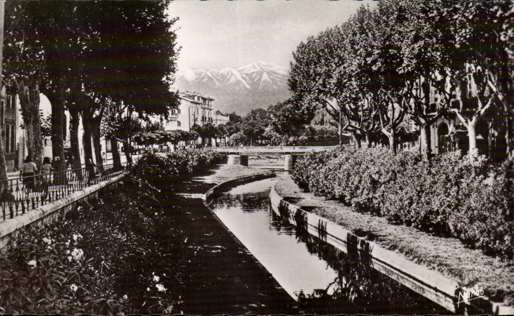 Perpignan - Les Quais Fleuris de la Basse - CPA 
