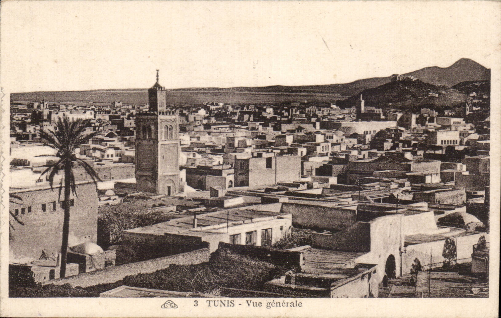 CPA Tunisie Tunis Vuegenerale