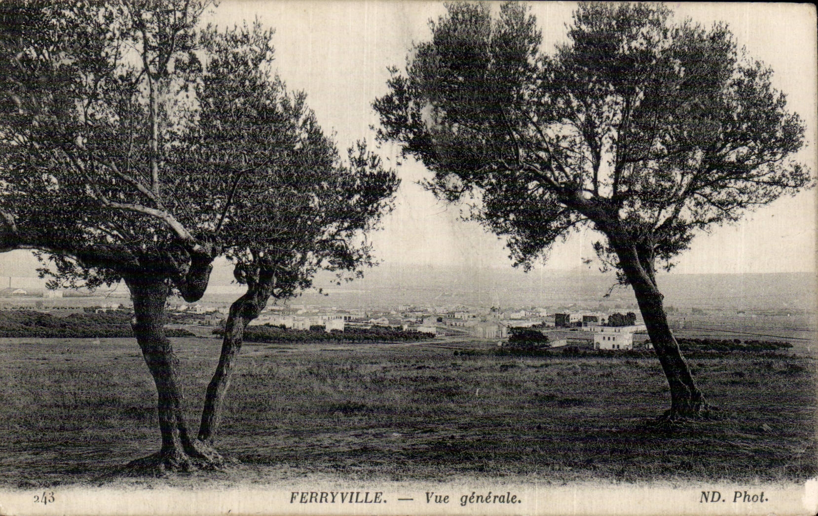 CPA Tunisia Ferryville View