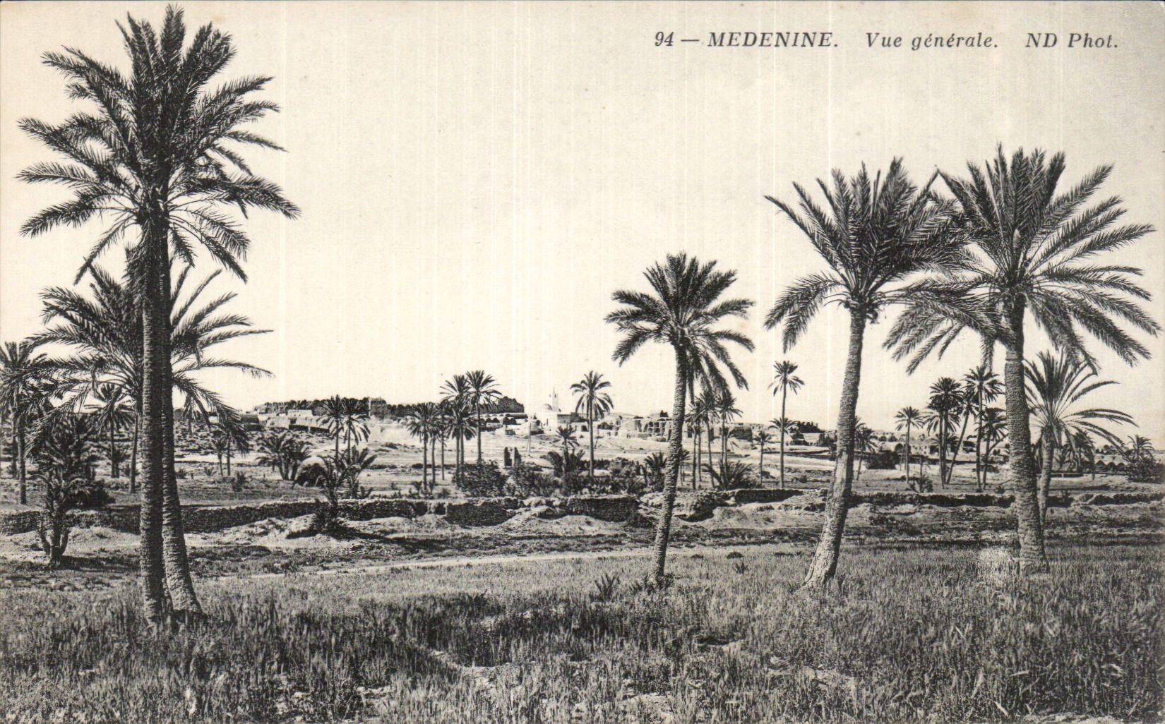 CPA Tunisie Medinine Vue generale