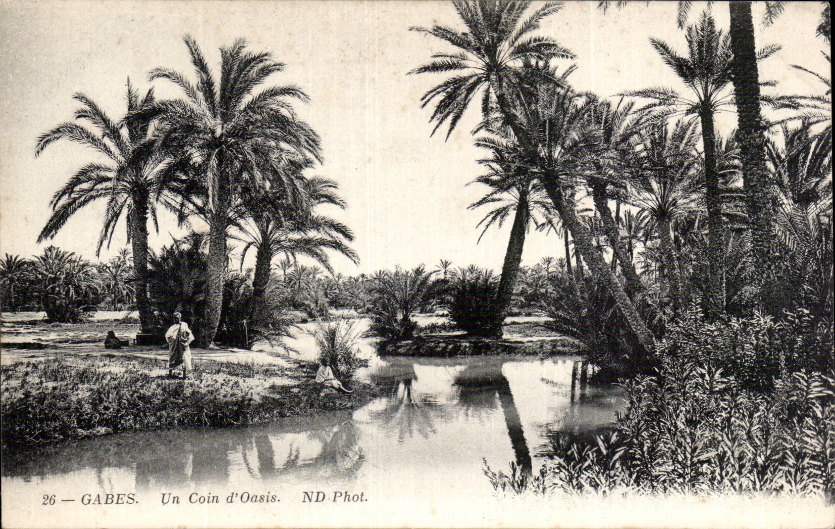 CPA Tunisie Gabes Un coin d oasis