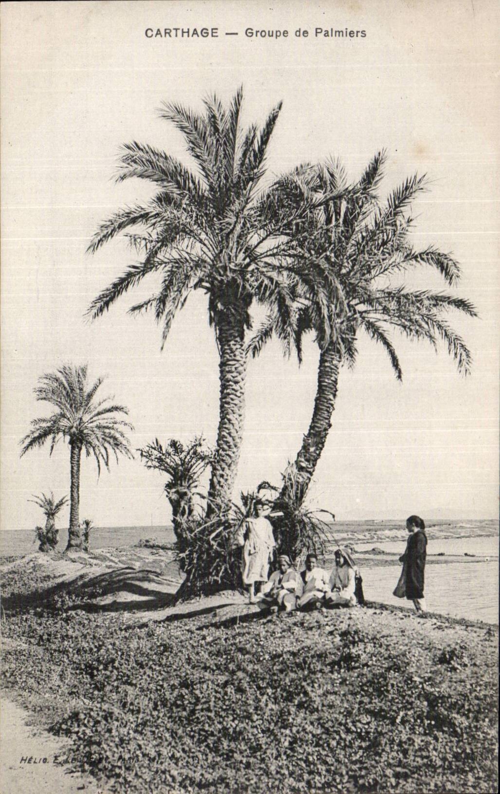CPA Tunisie Carthage Groupe de palmiers Enfants