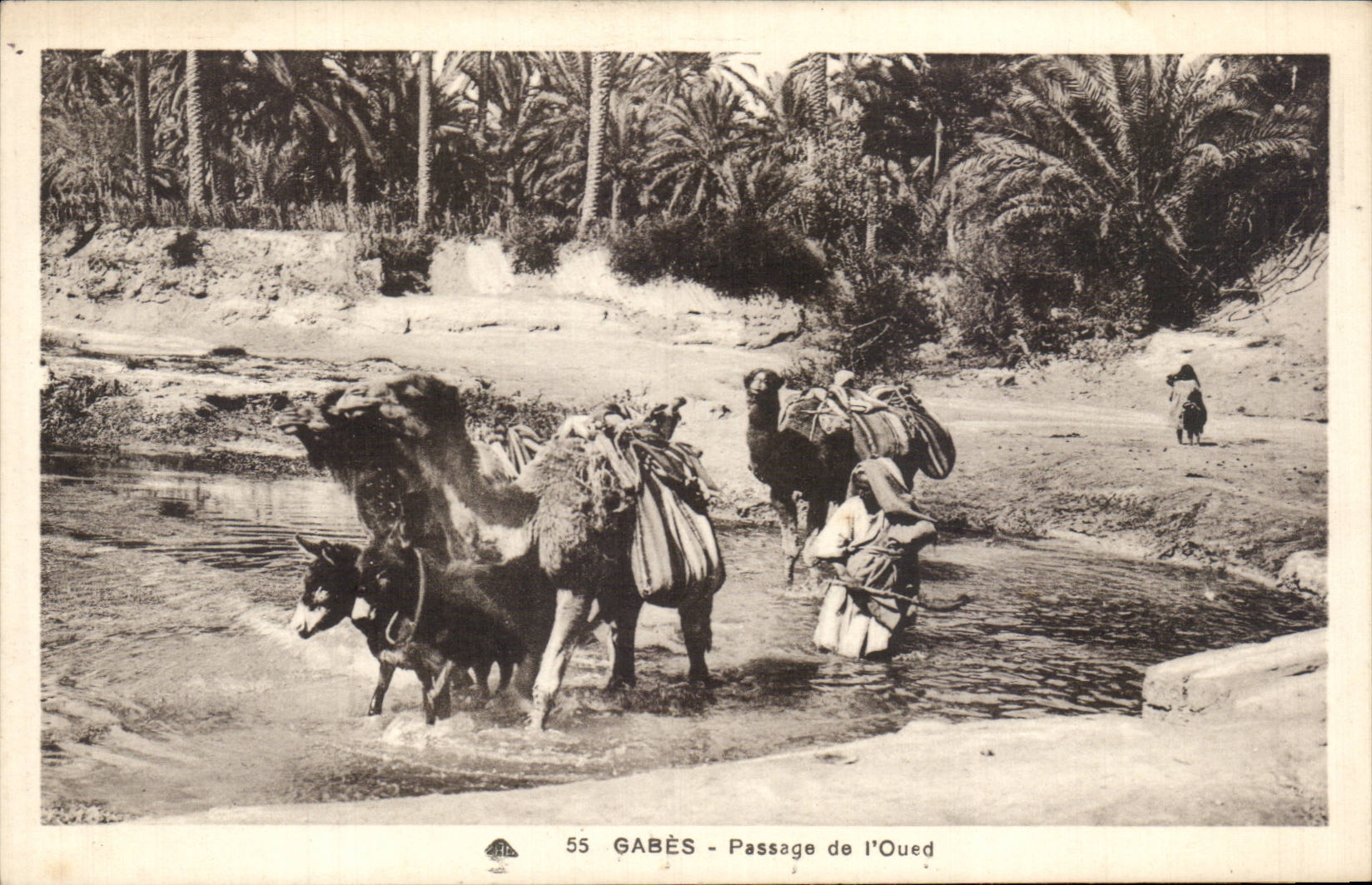 CPA Tunisie Gabes Passage de l oued Chameau Ane Donkey Camel