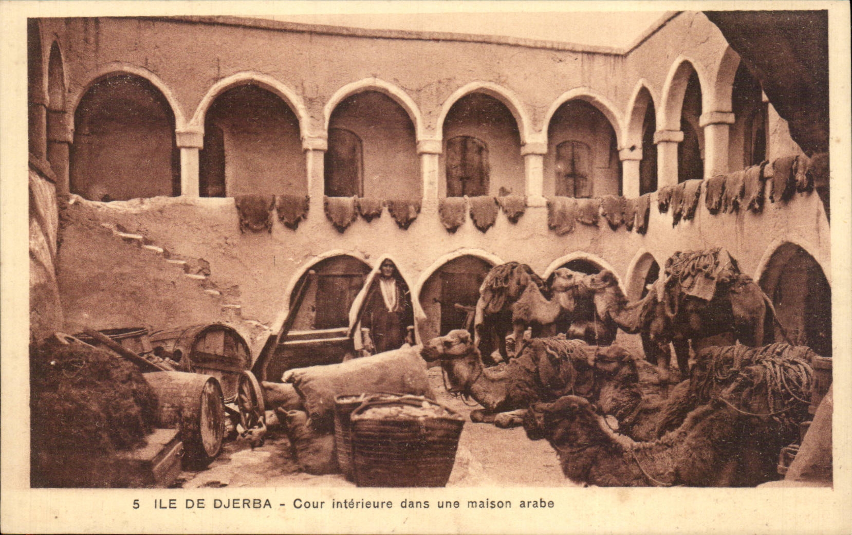 CPA Tunisie Ile de Djerba Cour interieure dans une maison arabe Chameau CAmel 
