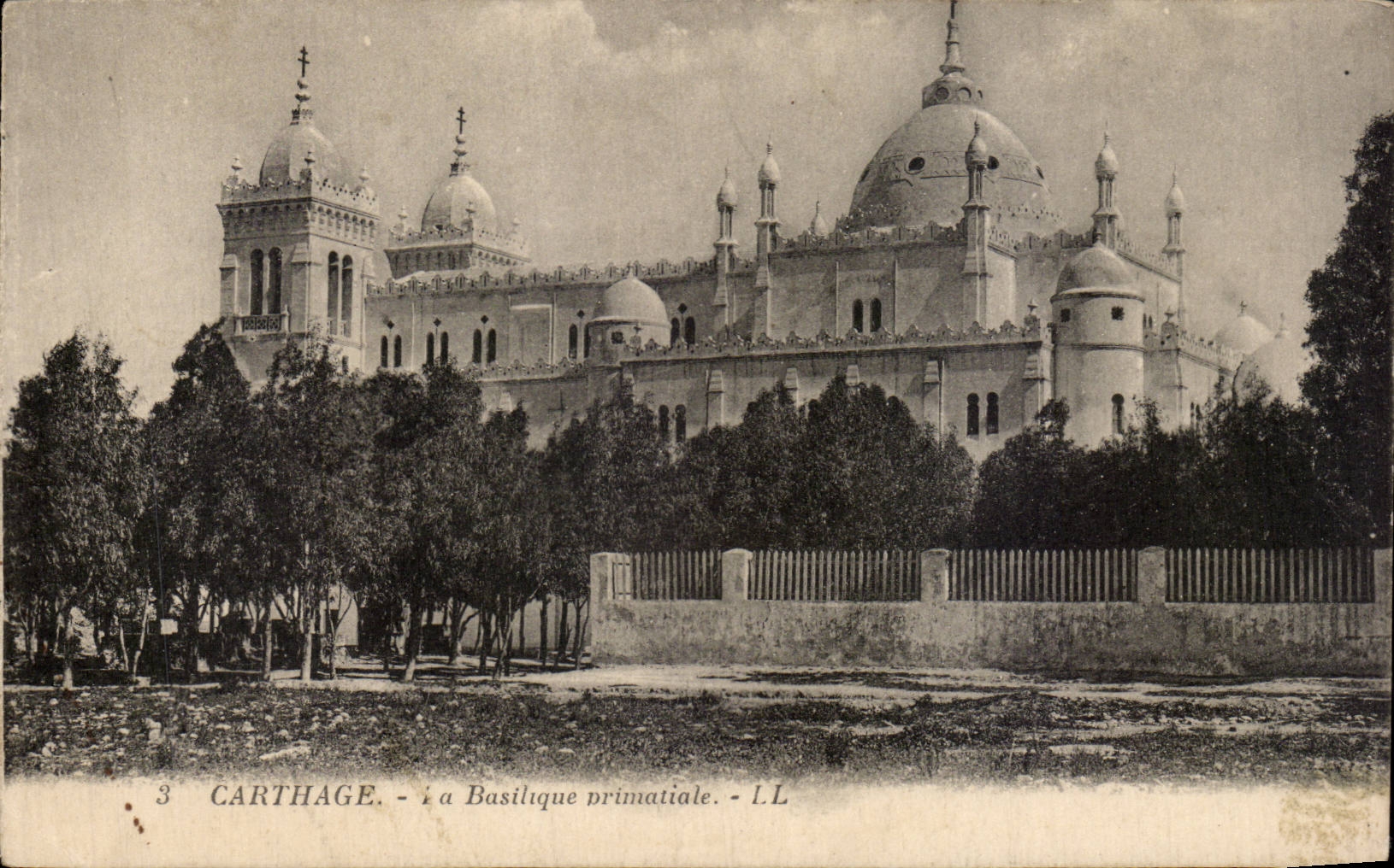 CPA Tunisie Carthage La basilique primatiale 