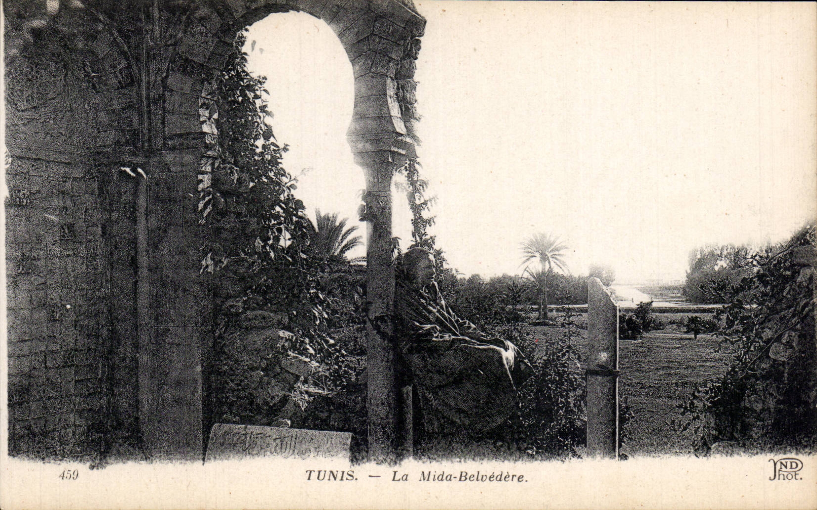 CPA Tunisie Tunis La Mida Belevedere