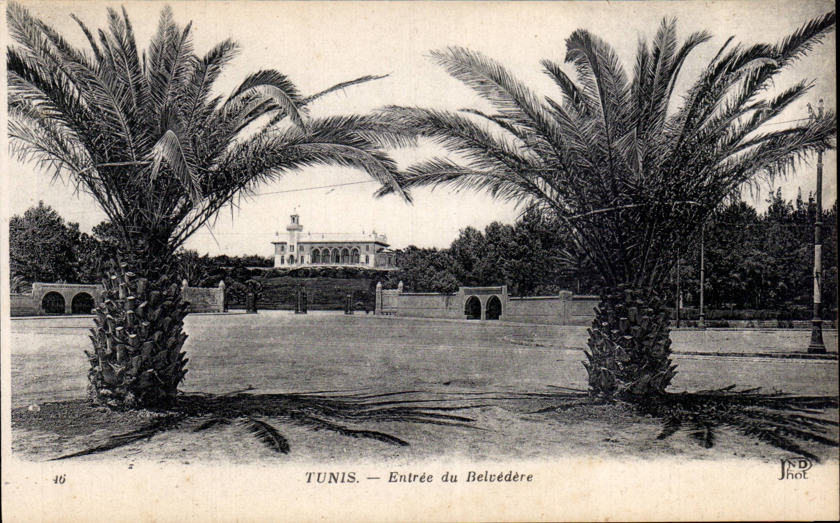 CPA Tunisie Tunis Entree du Belvedere